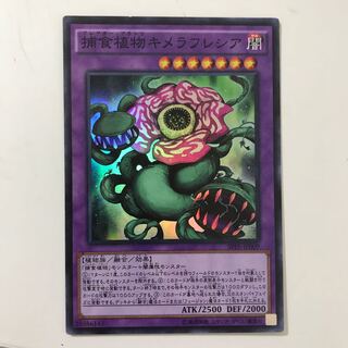 スーパー　捕食植物キメラフレシア