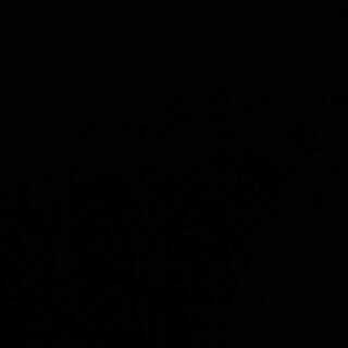 あさぽん様専用