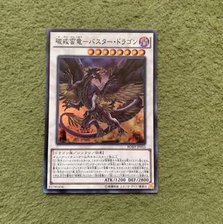破戒蛮竜-バスター・ドラゴン SR