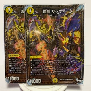 煌龍 サッヴァーク　2枚セット