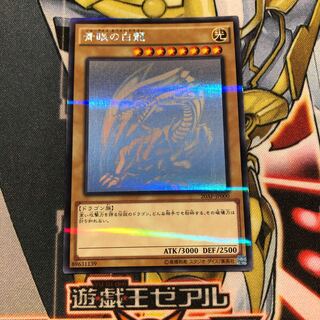 きらあ様専用　遊戯王　青眼の白龍　ホロパラ