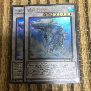 マドレース 白闘気白鯨 UR