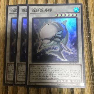 マドレース 白闘気海豚 SR