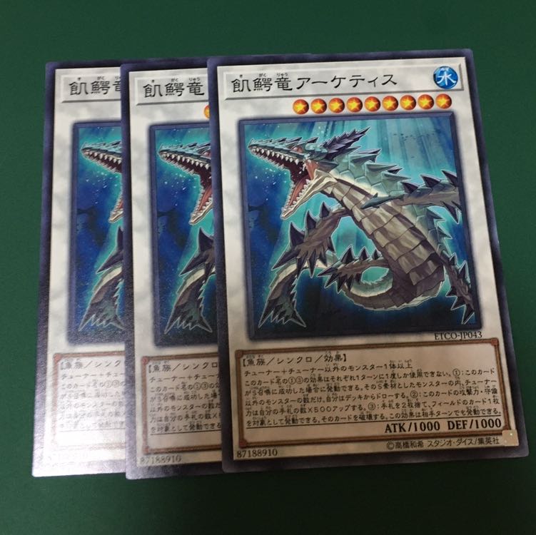 飢鰐竜アーケティス