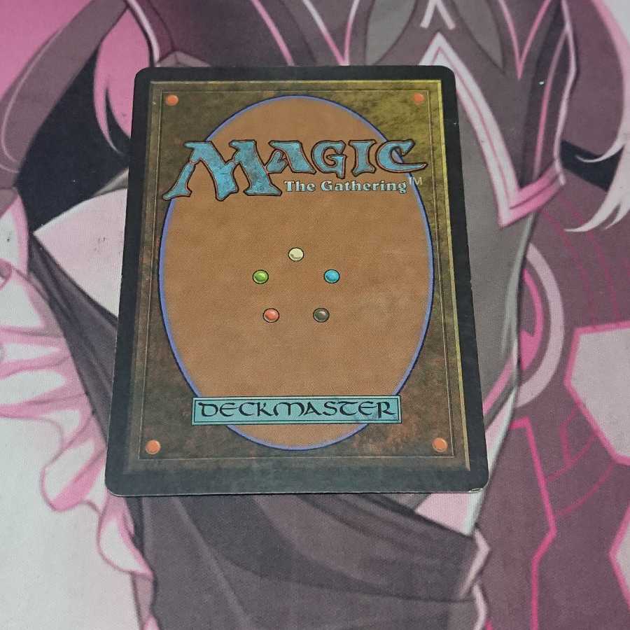 殻船着の島 1枚