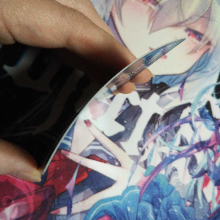 Dの博才 サイバーダイス・ベガスBBP【未使用】