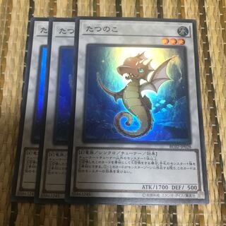 マドレース たつのこ SR