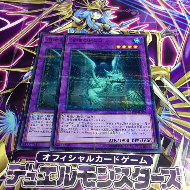 【カラス様専用】沼地のドロゴン【NP】