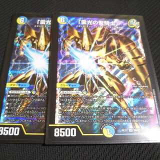 「雷光の聖騎士」