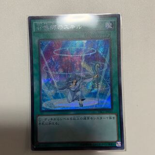 専用 召喚師のスキル SE