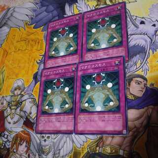 マクロコスモス N