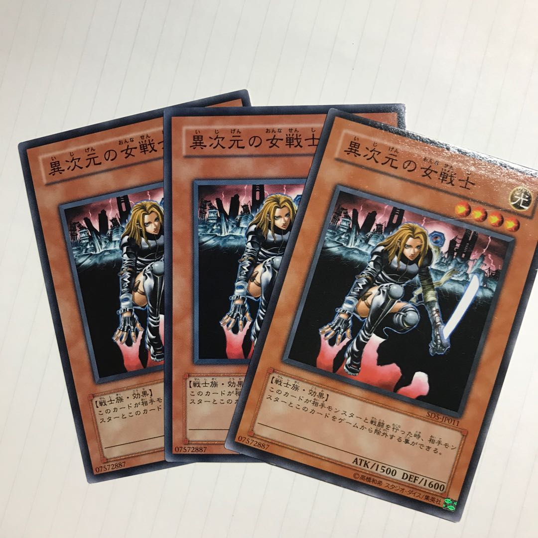 異次元の女戦士