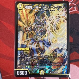 神聖龍 エモーショナル・ハードコア 1枚