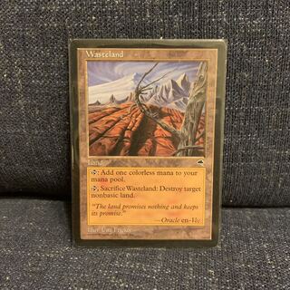 MTG 不毛の大地/Wasteland 英語 TMP