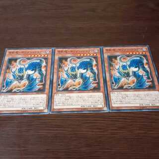 雷獣龍-サンダー・ドラゴン N セット