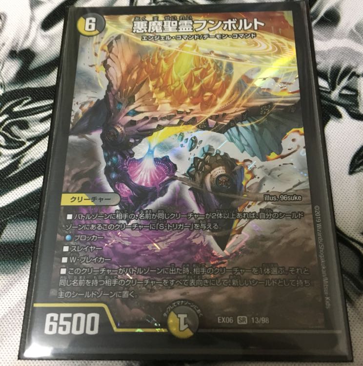 フンボルト 1枚