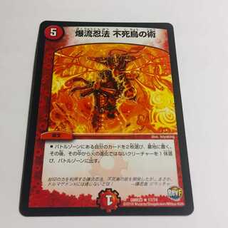 爆流忍法　不死鳥の術　