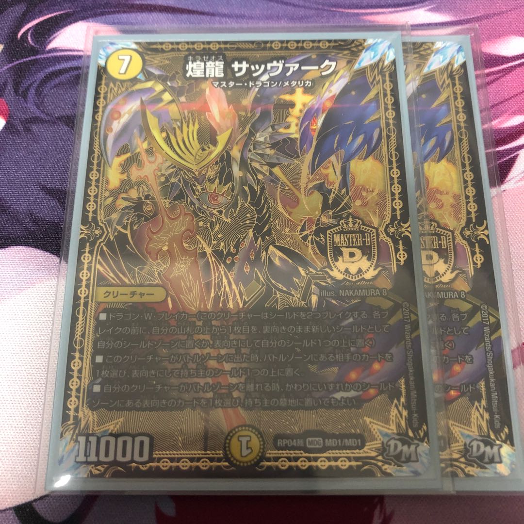 煌龍 サッヴァーク