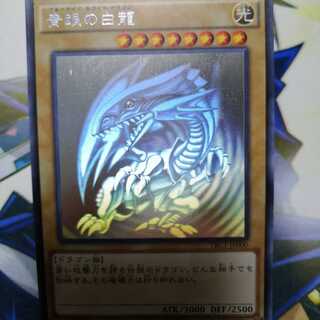 青眼の白龍 HR　【TRC 限定】