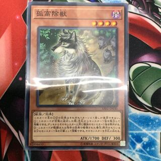 遊戯商会様専用 孤高除獣 NR