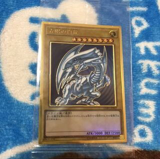 青眼の白龍 PGR プレゴル未開封