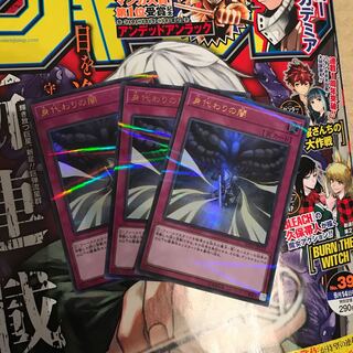 身代わりの闇 P-UR