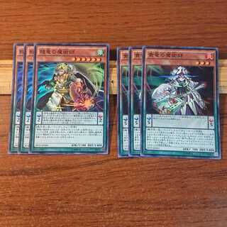 賤竜の魔術師 貴竜の魔術師 2種6枚 セット