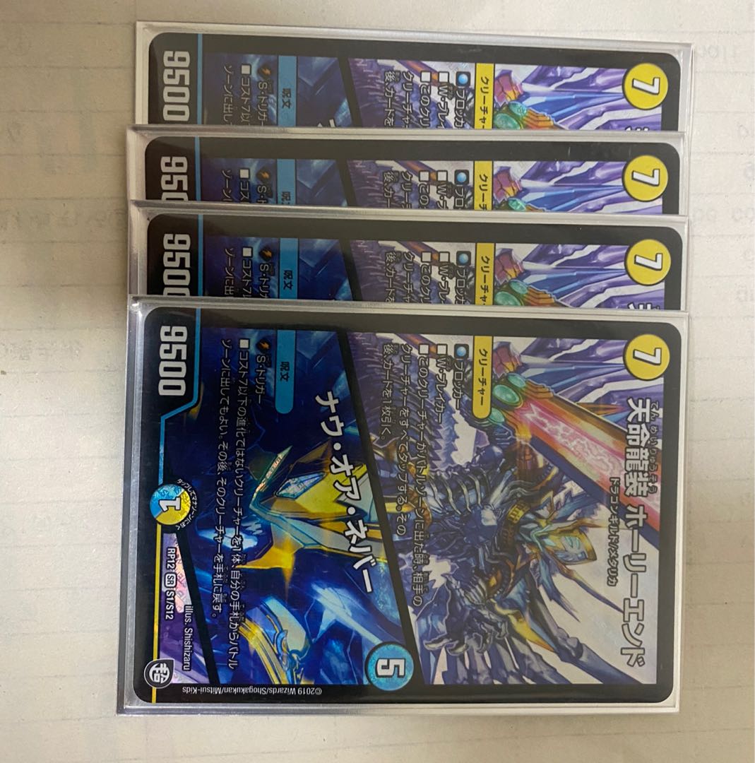 天命龍装 ホーリーエンド/ナウ・オア・ネバー