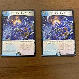 ブラッディ・タイフーン　2枚セット