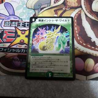 爆進イントゥ・ザ・ワイルド