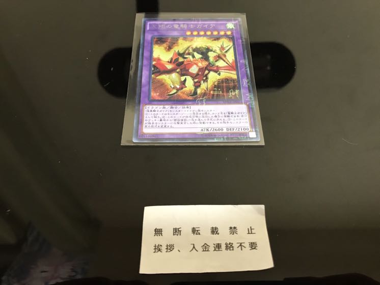 天翔の竜騎士ガイア