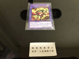 天翔の竜騎士ガイア