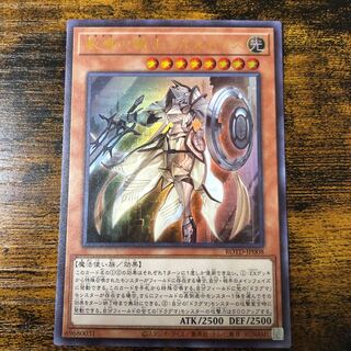 週末限定値下げ 教導の騎士フルルドリス UR