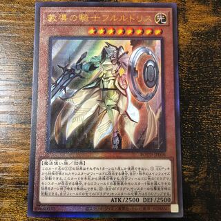 教導の騎士フルルドリス UL