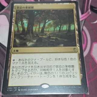 mtg 禁忌の果樹園　日本語版　foil ミントモール / MINT GAMES MTG(東日本橋) / ○SALE○【EXP