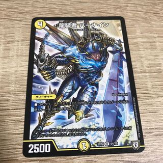 Dragon-suited BURNEIN R