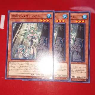 神樹のパラディオン3枚セット