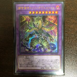 捕食植物トリフィオヴェルトゥム UR