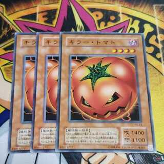 キラー・トマト N 2期 虎ふぐ