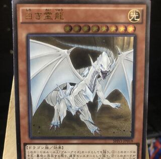遊戯王【白き霊龍】UL