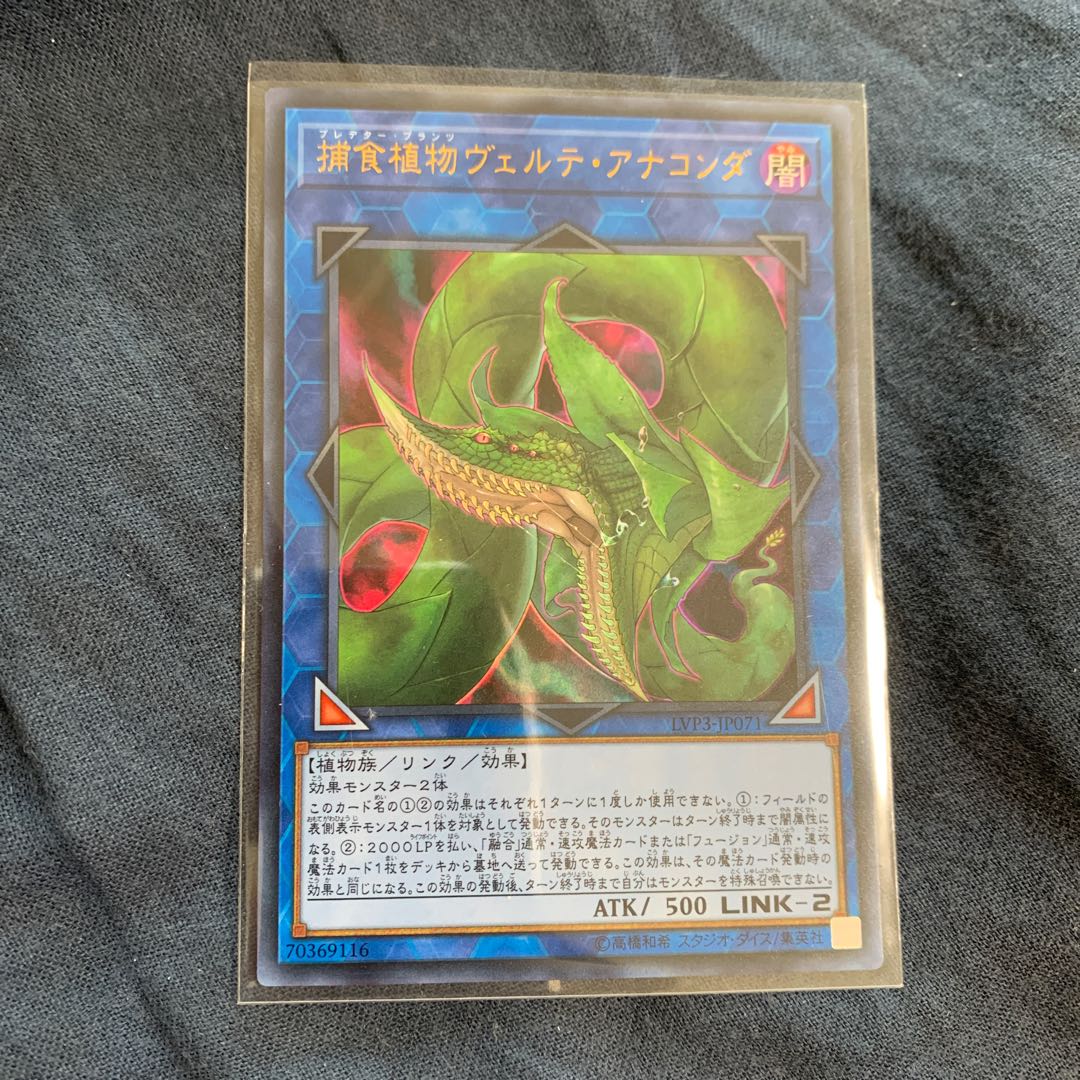 15:00までの購入で当日発送　ヴェルテアナコンダ