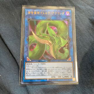 ヴェルテアナコンダ