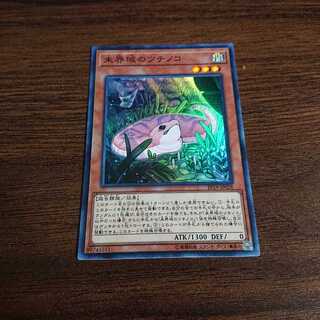 未界域のツチノコ