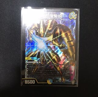 「雷光の聖騎士」