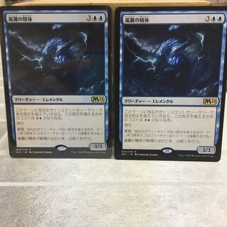 嵐翼の精体　2枚セット