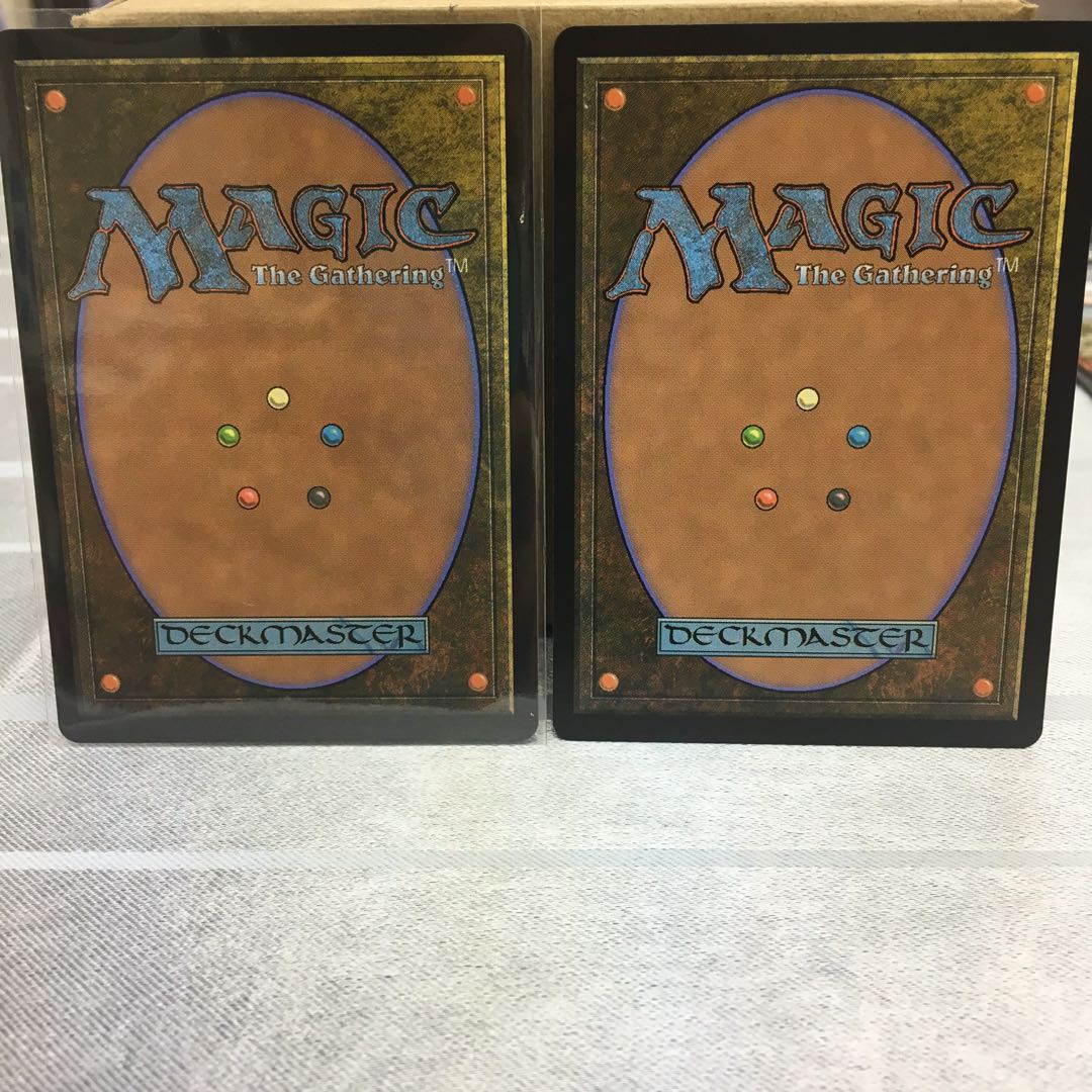 嵐翼の精体 2枚セット