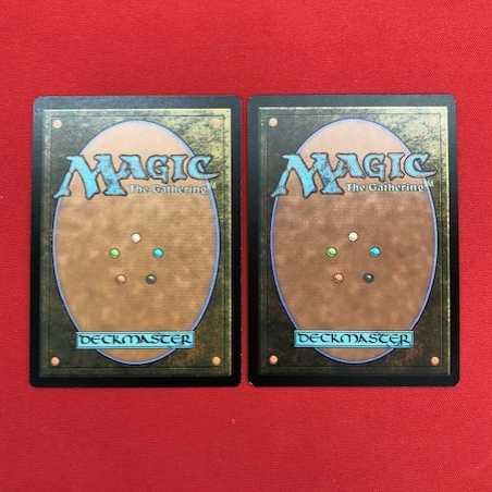 夏の帳/Veil of Summer　英語　Foil