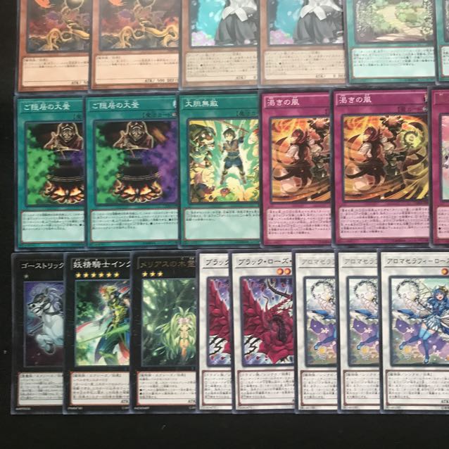 アロマデッキ　遊戯王　241 構築済み　イービルソーン　渇きの風　潤いの風　