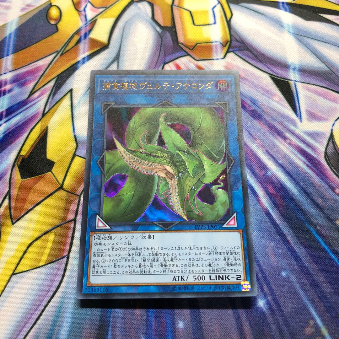 捕食植物ヴェルテ・アナコンダ