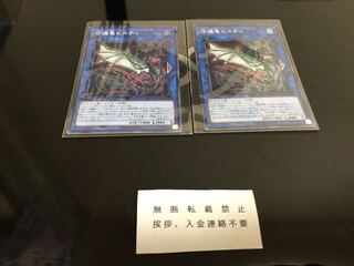 守護竜ピスティ スーパー ２枚